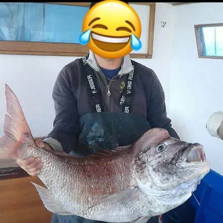 Il Giglio Bed & Breakfast Porto Cesareo