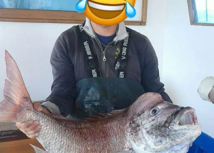 Il Giglio Bed & Breakfast Porto Cesareo